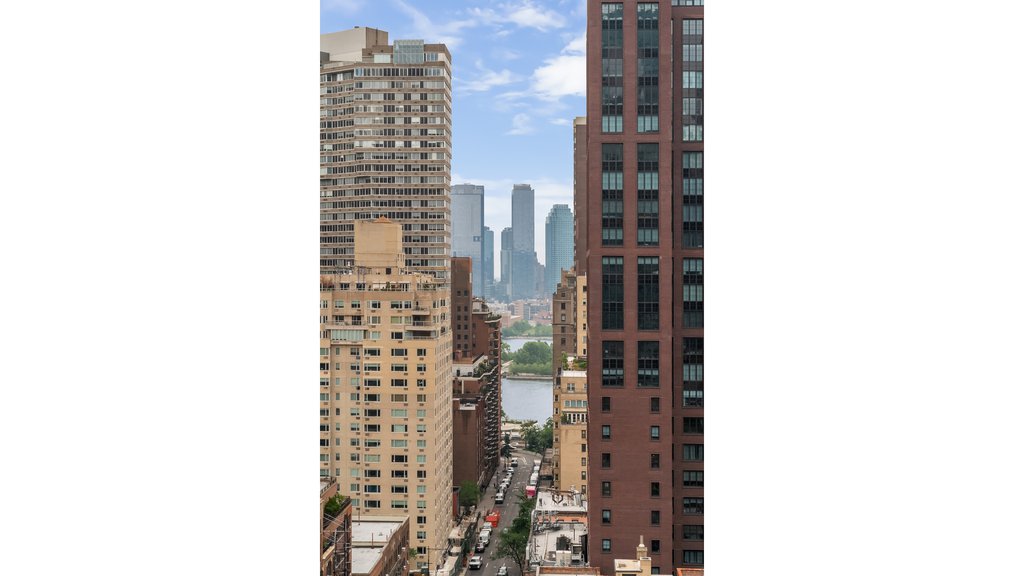 310 East 53rd Street, Unit 19A photo 2