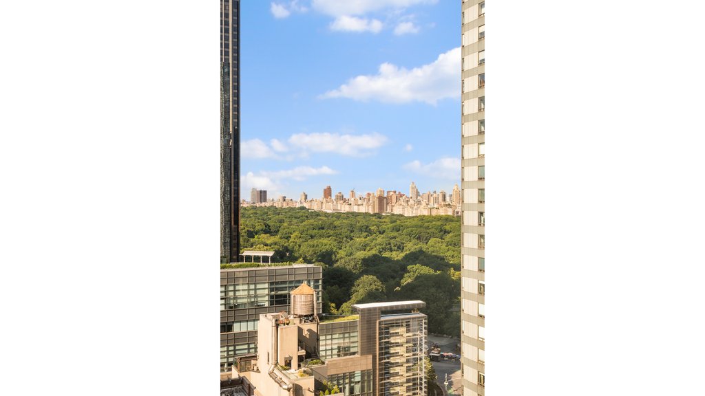 322 West 57th Street, Unit 33H photo 3