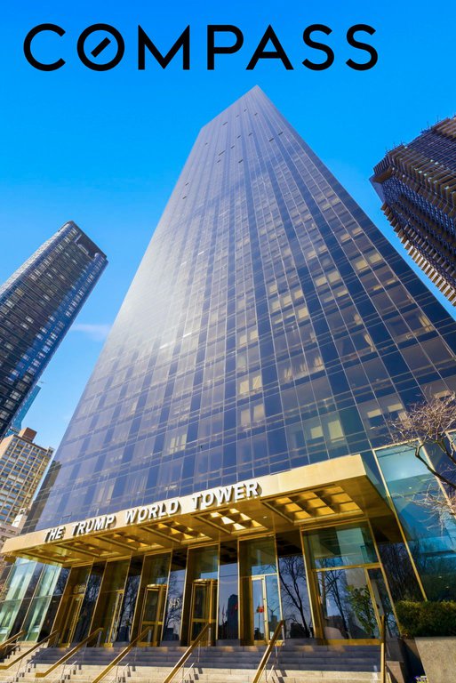 845 United Nations Plaza, Unit 6A photo 37