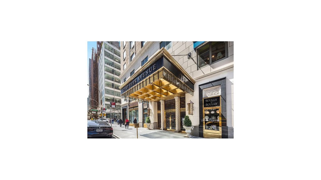 502 Park Avenue, Unit 12AB photo 15