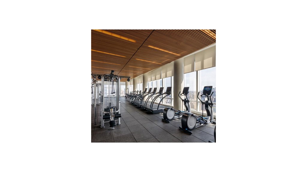 15 Hudson Yards, Unit 33H photo 9