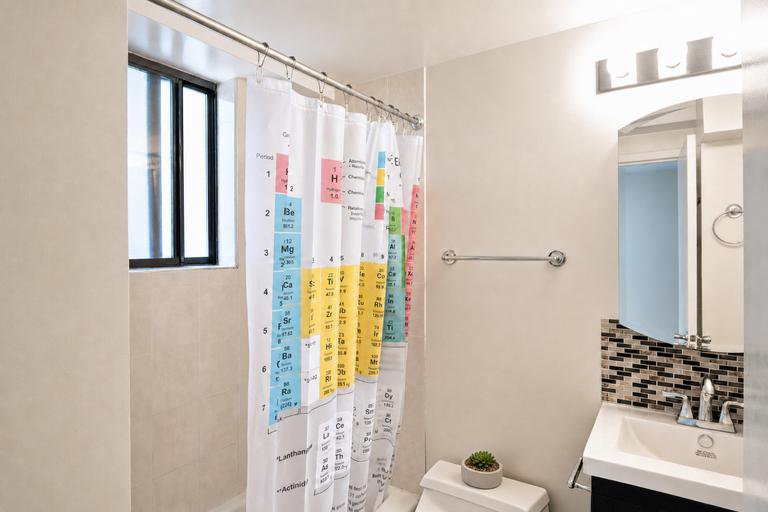 306 Mott Street, Unit 3B photo 5