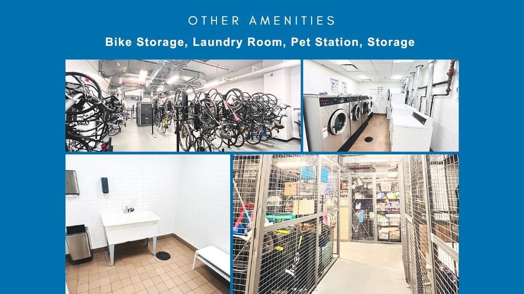 550 Vanderbilt Avenue, Unit 210 photo 25