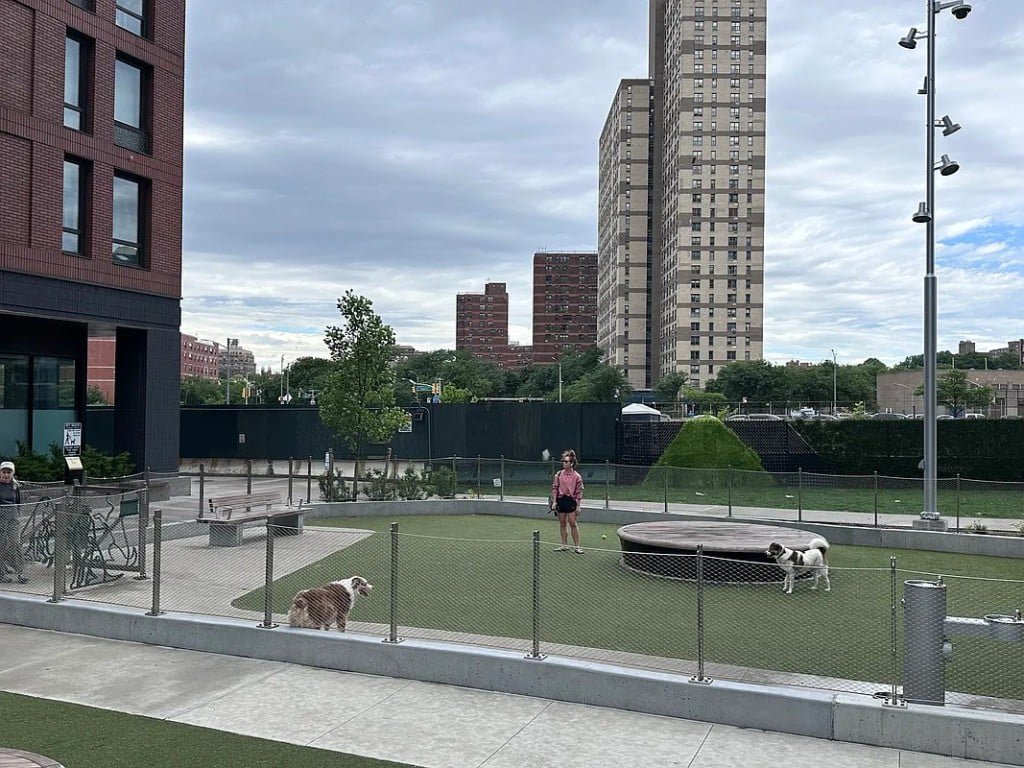 550 Vanderbilt Avenue, Unit 210 photo 31