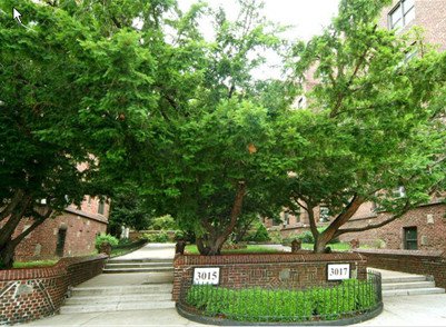 3017 Riverdale Avenue, Unit 2H photo 9