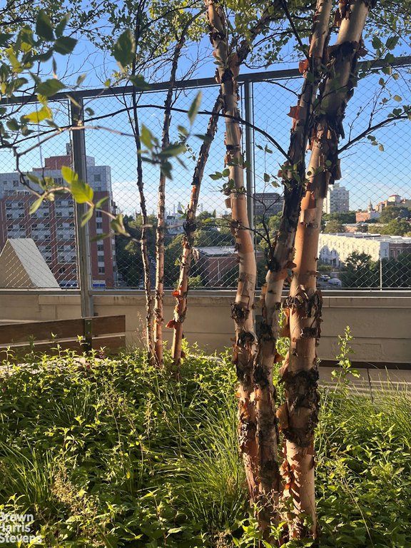 535 Dean Street, Unit 408 photo 13