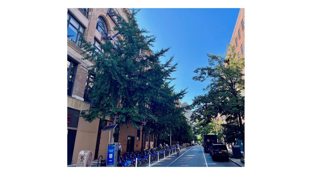 100 West 15th Street, Unit 1A photo 13