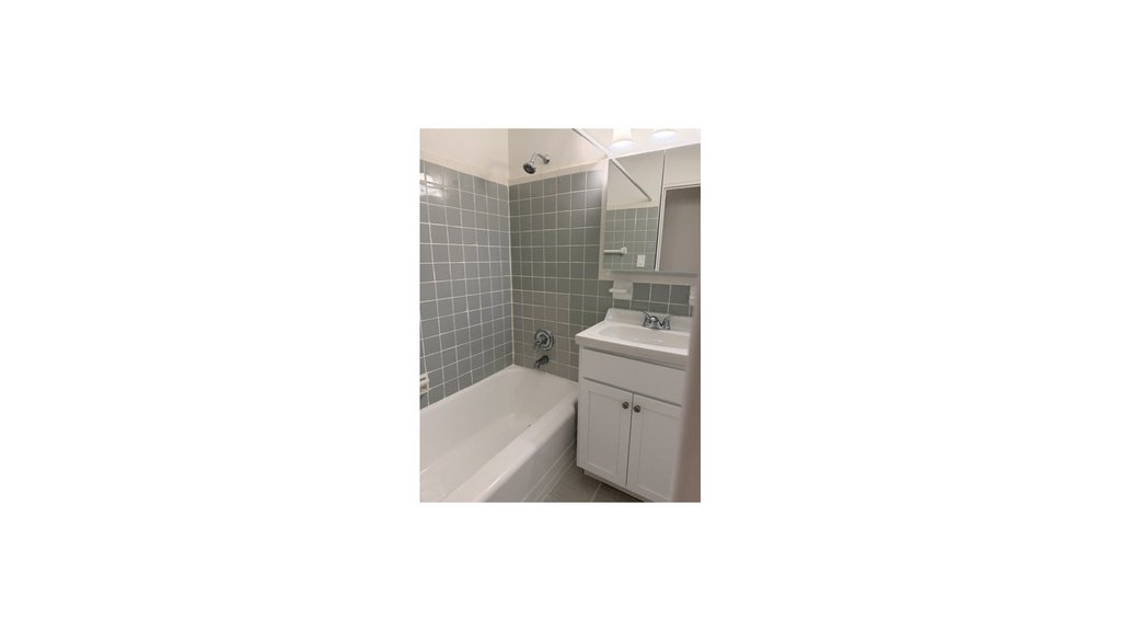 282 East 35th Street, Unit 2P photo 5