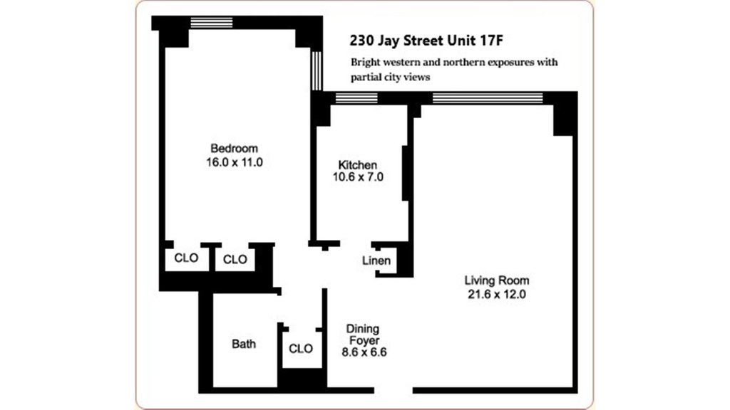 230 Jay Street, Unit 17F photo 9