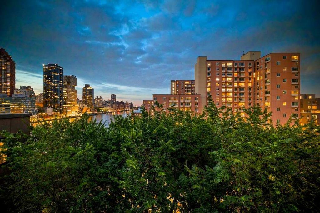 531 Main Street, Unit 1025 photo 3