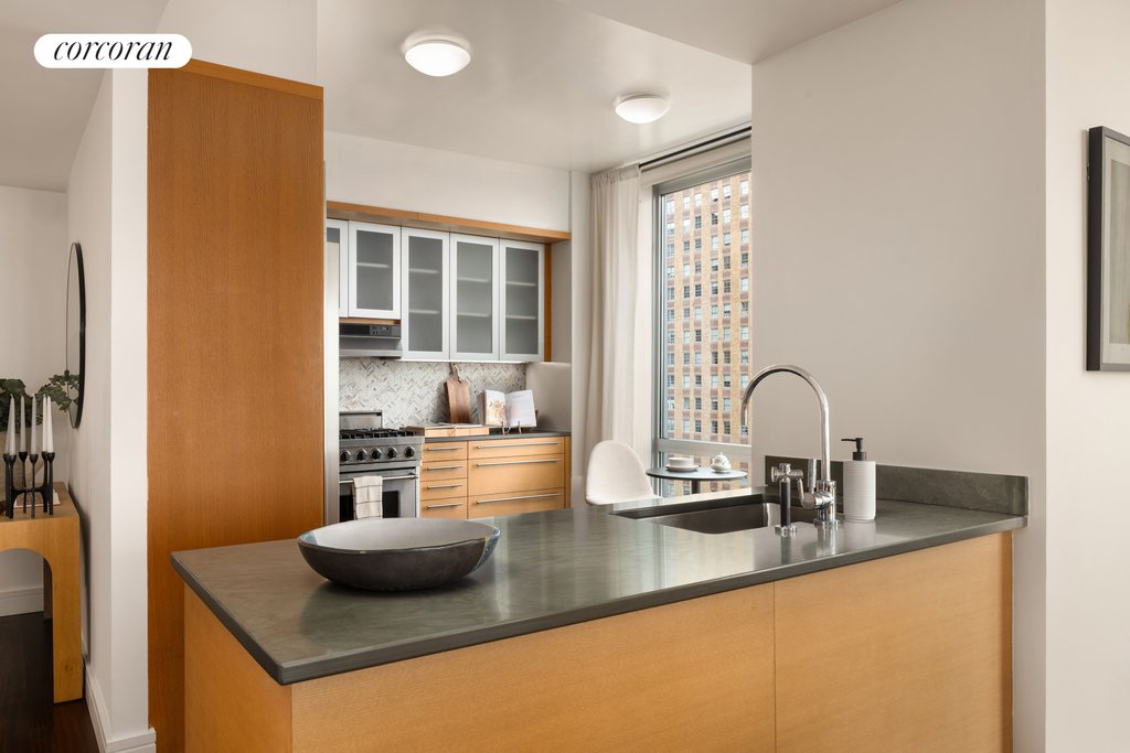 30 West Street, Unit 12E photo 4