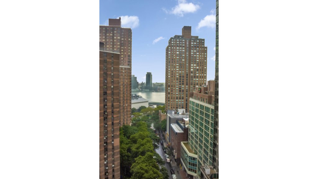 340 East 93rd Street, Unit 21I photo 10
