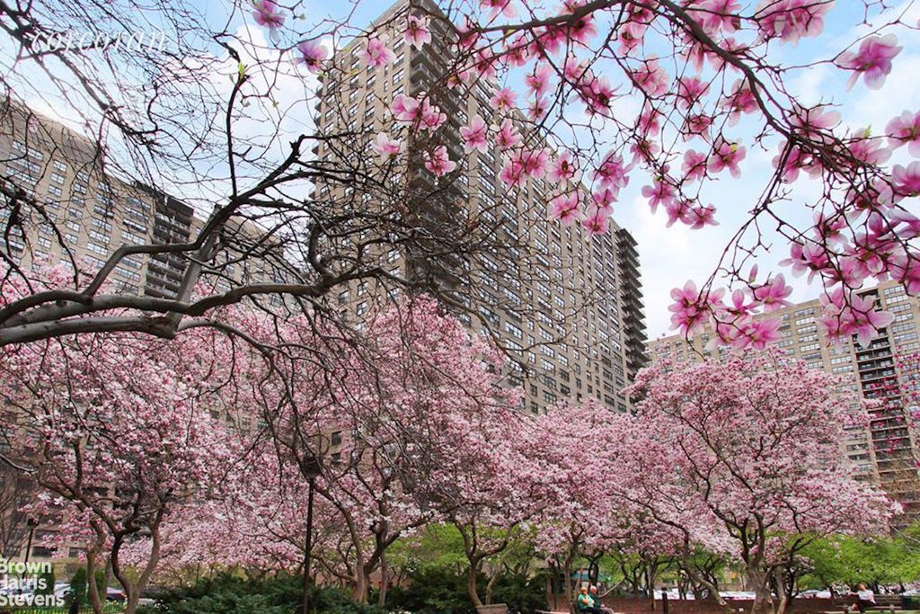 205 West End Avenue, Unit 10B photo 18