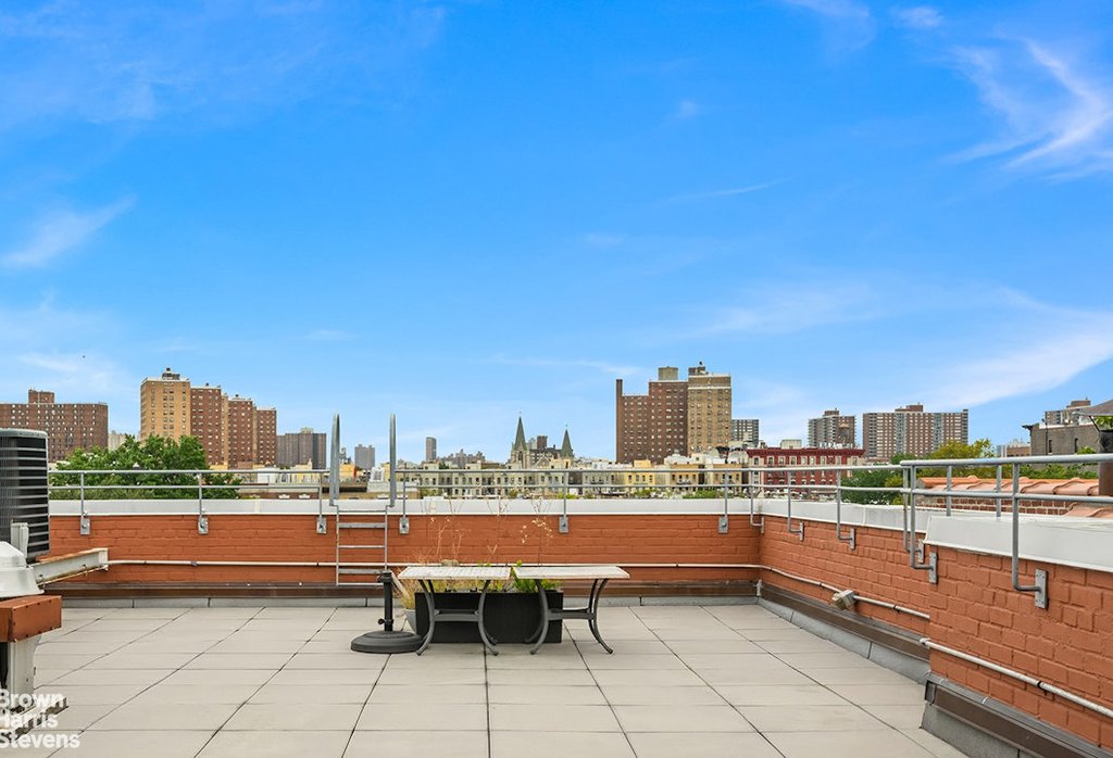 223 West 135th Street, Unit 3 photo 12
