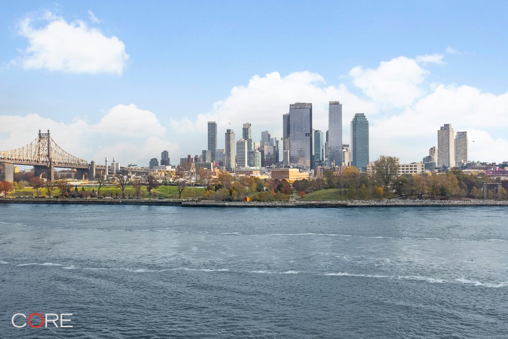 450 East 52nd Street, Unit 2/3 photo 14