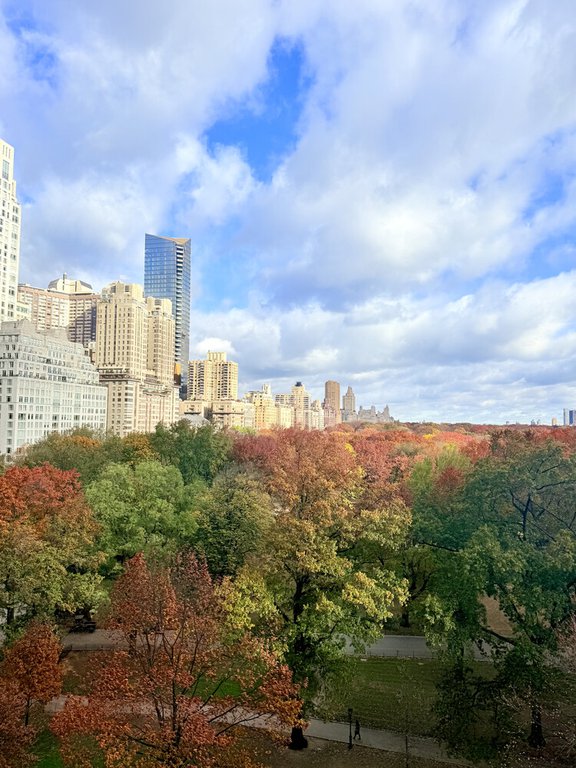 230 Central Park South, Unit 10C photo 12