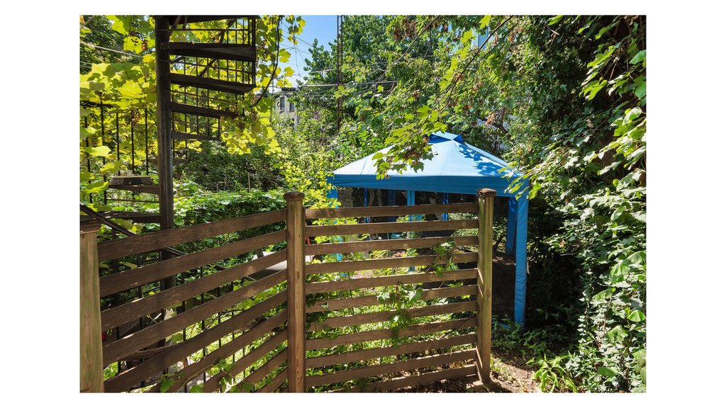 460 11th Street, Unit 1 photo 13
