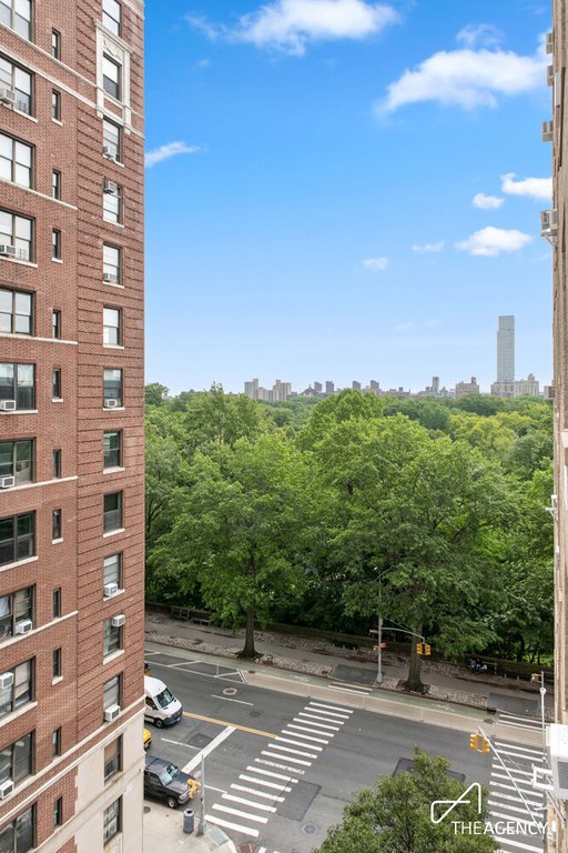 410 Central Park West, Unit 9D photo 10