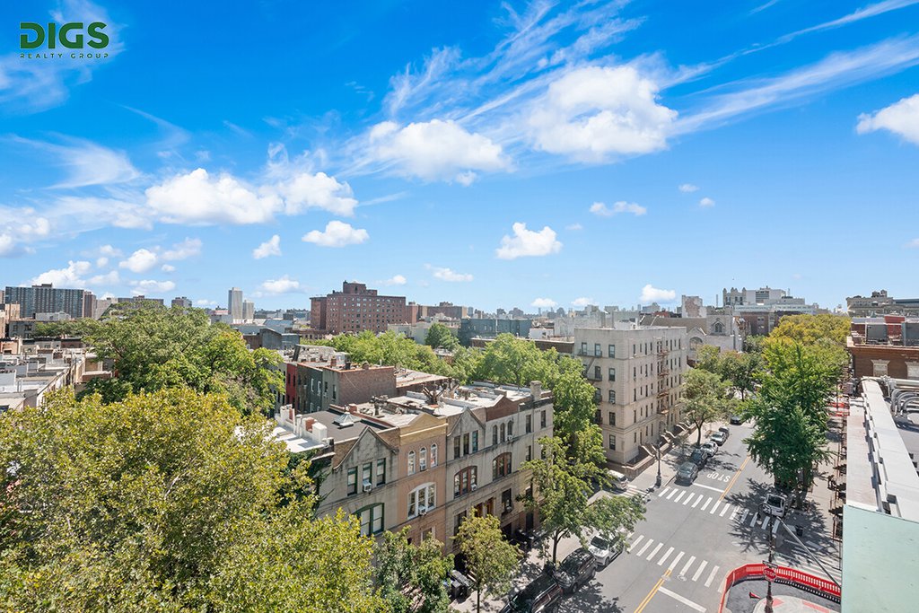 450 West 147th Street, Unit 62 photo 8