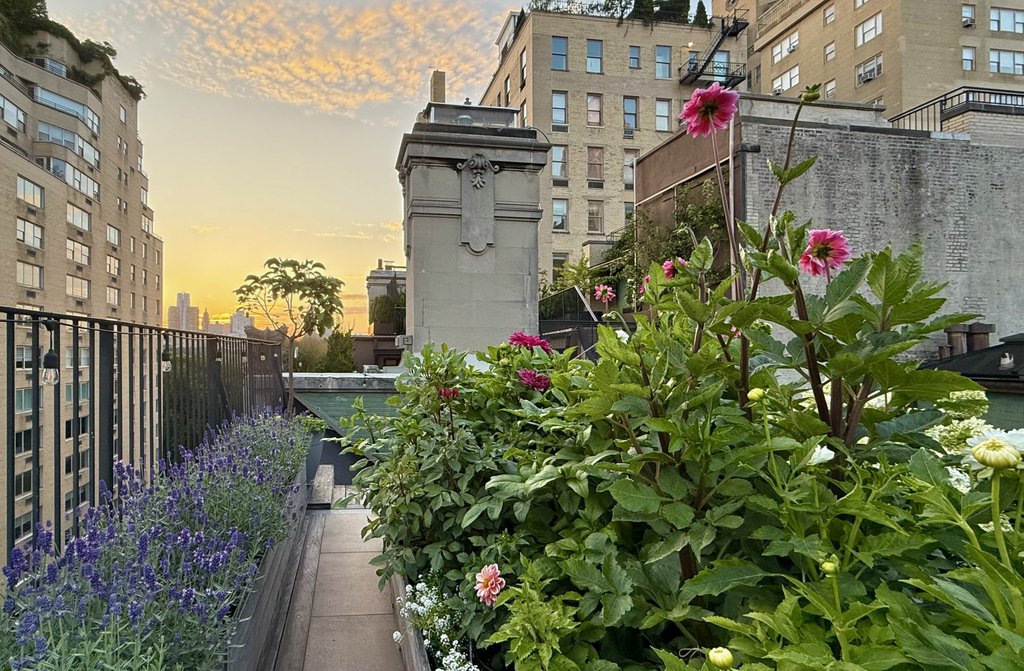 5 East 75th Street, Unit 8 photo 17