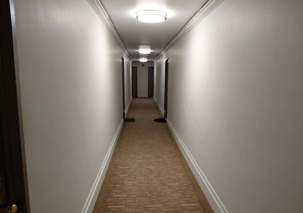 1019 Van Siclen Avenue, Unit 97L photo 2