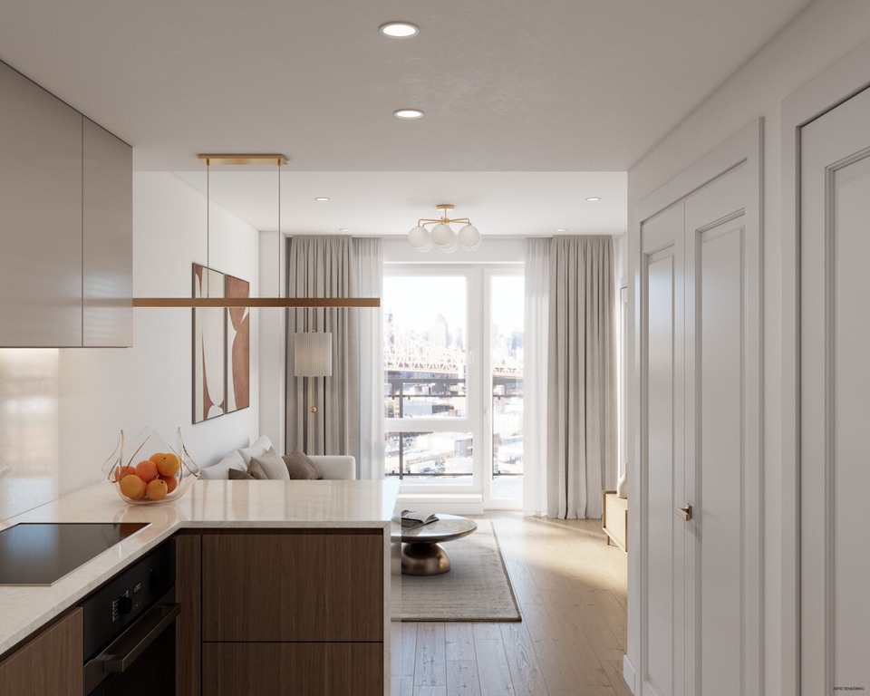11-37 44th Drive #311