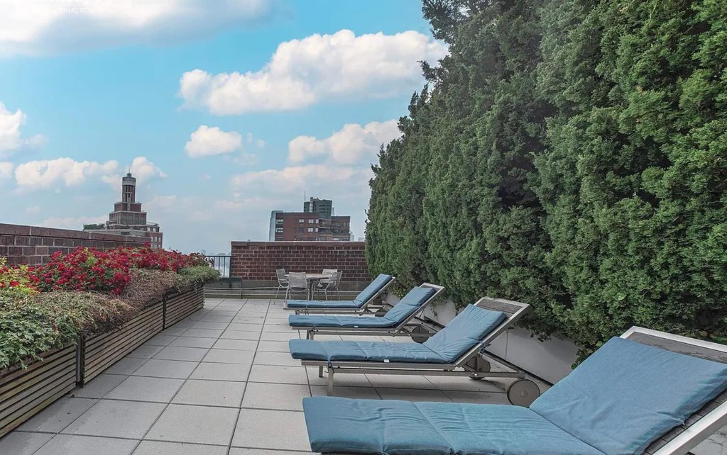 225 Rector Place, Unit PH2E photo 13