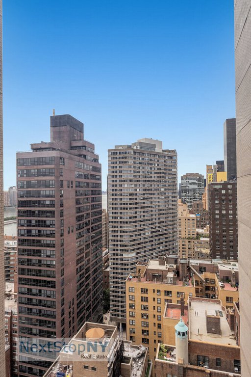 400 East 56th Street, Unit 29O photo 10