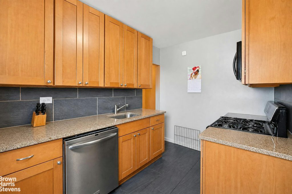 1020 Grand Concourse, Unit 10V photo 17