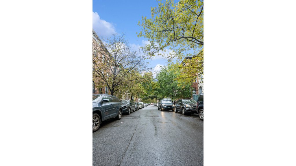 138 West 136th Street, Unit 3 photo 9