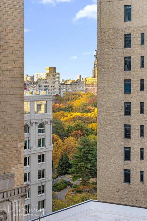 58 West 58th Street, Unit 19A photo 4
