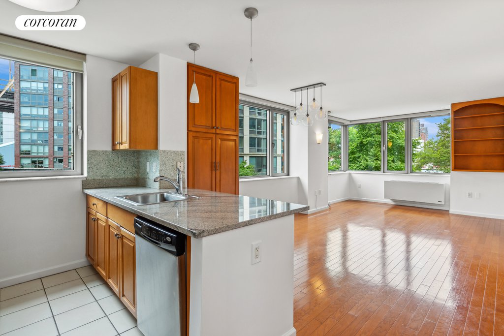 425 Main Street, Unit 3N