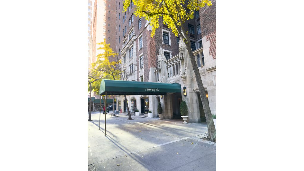 5 Tudor City Place, Unit 838 photo 11