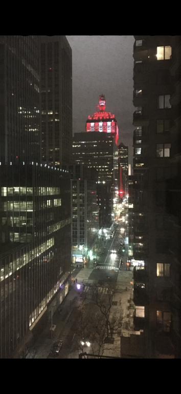 225 East 46th Street, Unit 12G photo 7