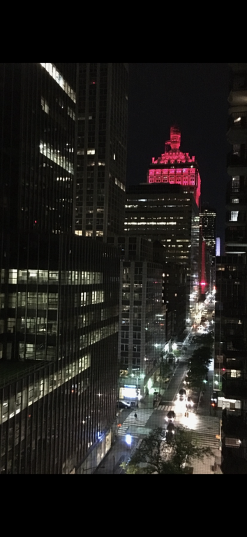 225 East 46th Street, Unit 12G photo 9