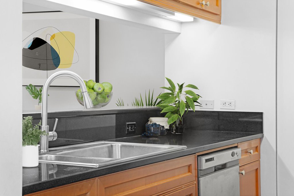 220 Riverside Boulevard, Unit 5T photo 16