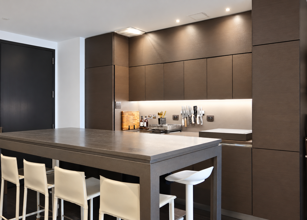 20 Pine Street, Unit 1001 photo 4